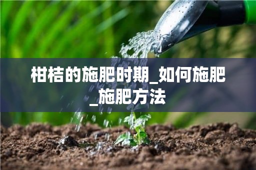 柑桔的施肥时期_如何施肥_施肥方法