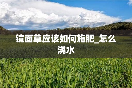 镜面草应该如何施肥_怎么浇水