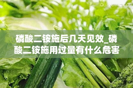 磷酸二铵施后几天见效_磷酸二铵施用过量有什么危害