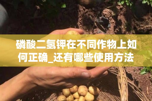 磷酸二氢钾在不同作物上如何正确_还有哪些使用方法