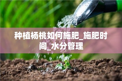 种植杨桃如何施肥_施肥时间_水分管理