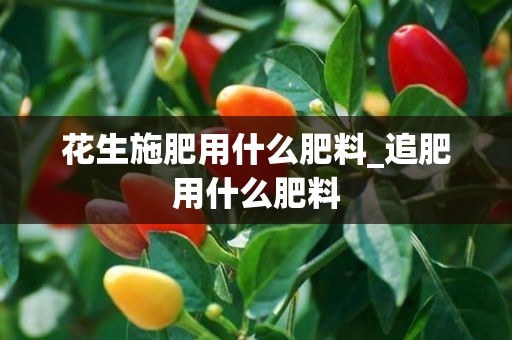 花生施肥用什么肥料_追肥用什么肥料