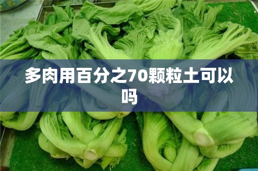 多肉用百分之70颗粒土可以吗