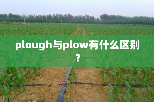 plough与plow有什么区别？