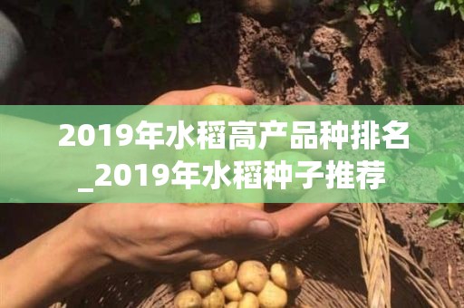 2019年水稻高产品种排名_2019年水稻种子推荐