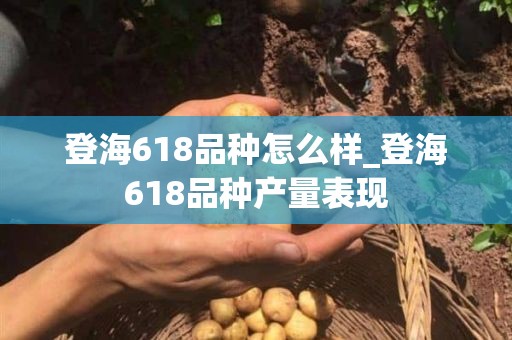 登海618品种怎么样_登海618品种产量表现