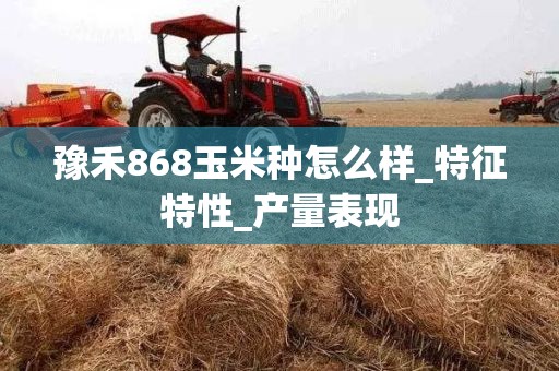 豫禾868玉米种怎么样_特征特性_产量表现