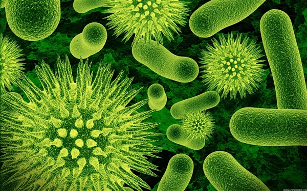 日本确认全球首例因感染Oz病毒死亡病例：蜱虫传播 2018年首次发现