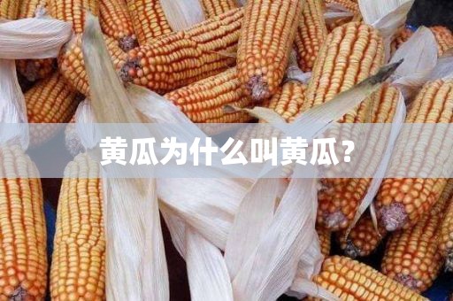 黄瓜为什么叫黄瓜？