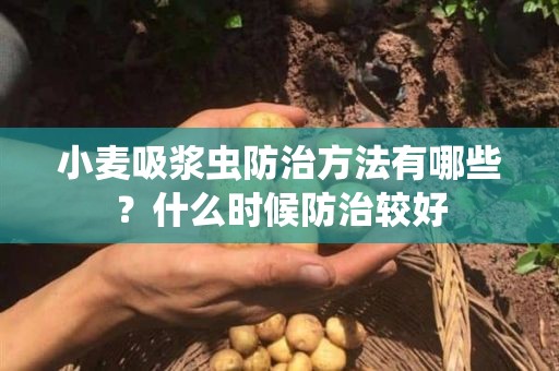 小麦吸浆虫防治方法有哪些？什么时候防治较好