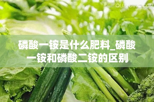 磷酸一铵是什么肥料_磷酸一铵和磷酸二铵的区别