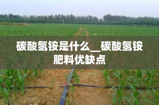 碳酸氢铵是什么__碳酸氢铵肥料优缺点