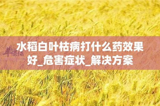 水稻白叶枯病打什么药效果好_危害症状_解决方案