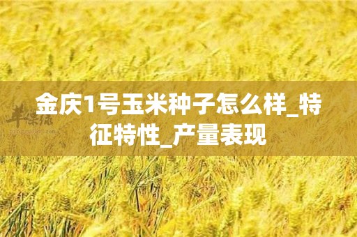 金庆1号玉米种子怎么样_特征特性_产量表现