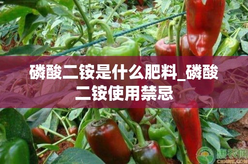 磷酸二铵是什么肥料_磷酸二铵使用禁忌