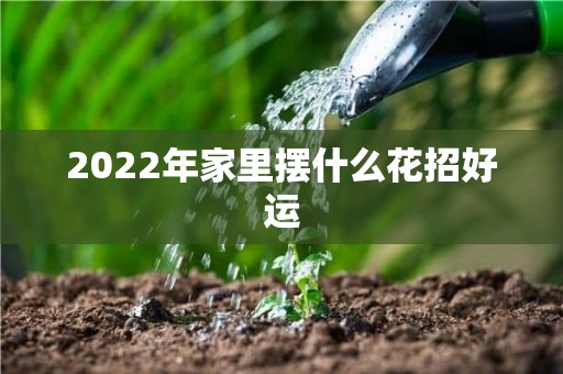 2022年家里摆什么花招好运