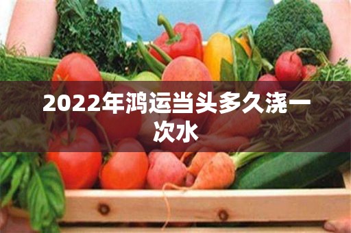 2022年鸿运当头多久浇一次水