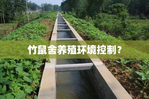 竹鼠舍养殖环境控制？