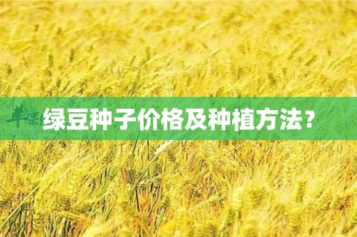 绿豆种子价格及种植方法？