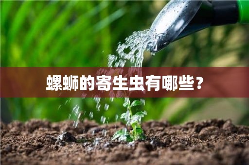 螺蛳的寄生虫有哪些？