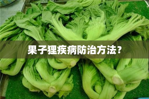 果子狸疾病防治方法？