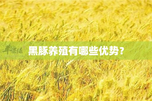 黑豚养殖有哪些优势？