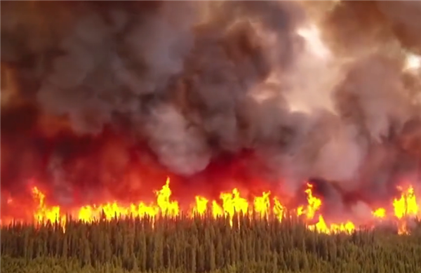 已成全球性环境事件！加拿大森林大火直接排放超10亿吨二氧化碳