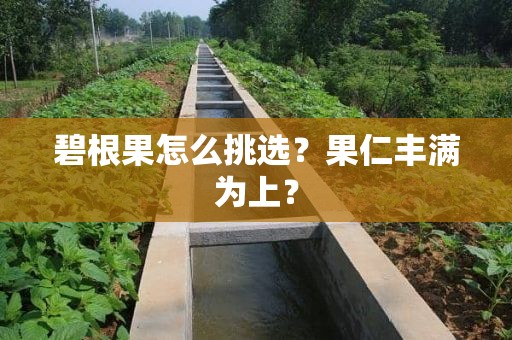 碧根果怎么挑选？果仁丰满为上？