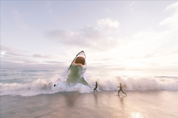 “大白鲨”其实不爱吃人？这么多年的恐怖片都看错了！