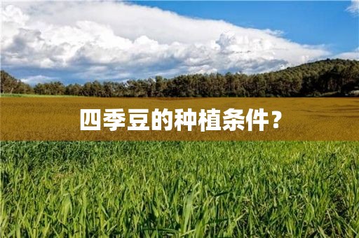 四季豆的种植条件？