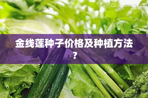 金线莲种子价格及种植方法？