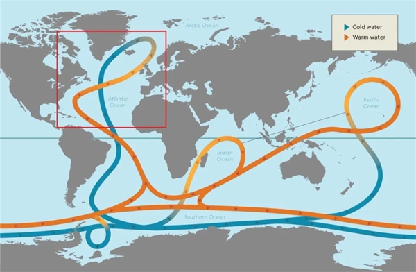 地球的“顶流”要“塌房”？这一次可能是真的