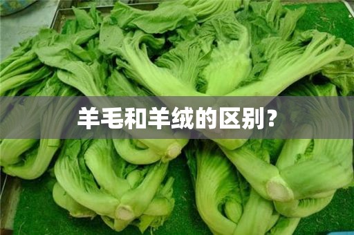 羊毛和羊绒的区别？