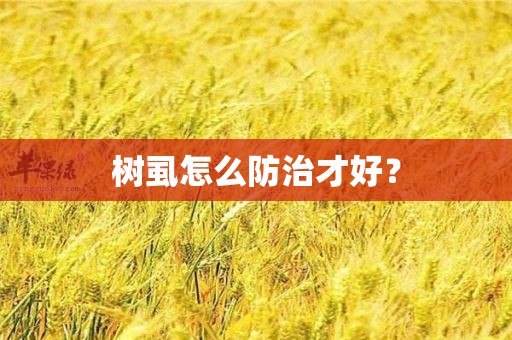 树虱怎么防治才好？