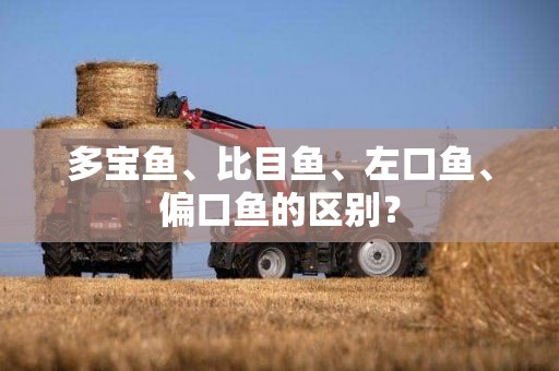 多宝鱼、比目鱼、左口鱼、偏口鱼的区别？