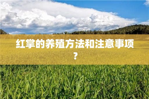 红掌的养殖方法和注意事项？