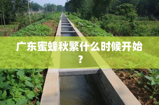 广东蜜蜂秋繁什么时候开始？