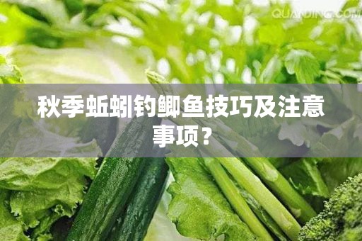 秋季蚯蚓钓鲫鱼技巧及注意事项？