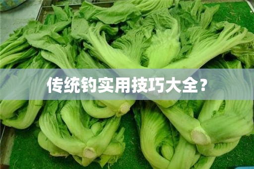 传统钓实用技巧大全？