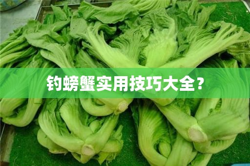 钓螃蟹实用技巧大全？