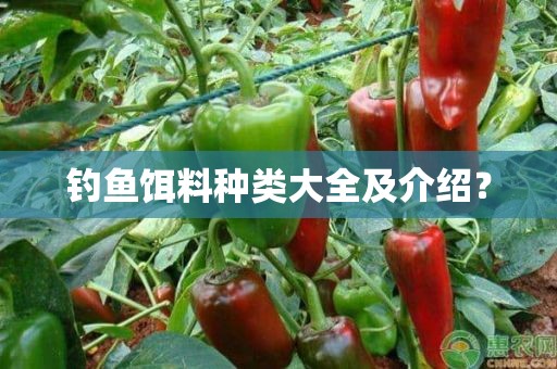 钓鱼饵料种类大全及介绍？