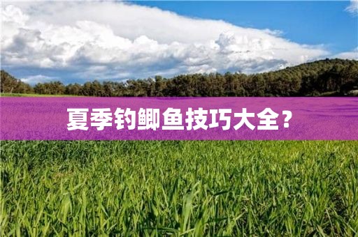 夏季钓鲫鱼技巧大全？