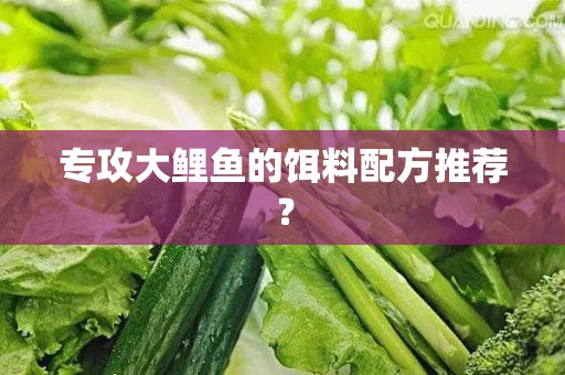 专攻大鲤鱼的饵料配方推荐？