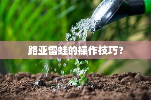 路亚雷蛙的操作技巧？