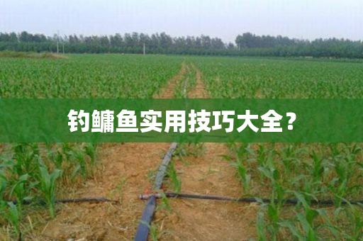 钓鳙鱼实用技巧大全？