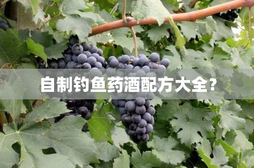 自制钓鱼药酒配方大全？