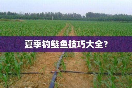 夏季钓鲢鱼技巧大全？