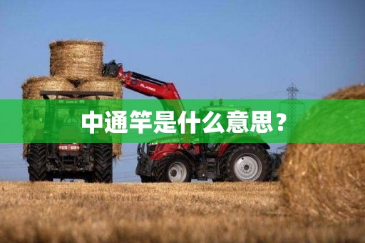 中通竿是什么意思？