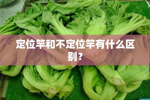 定位竿和不定位竿有什么区别？