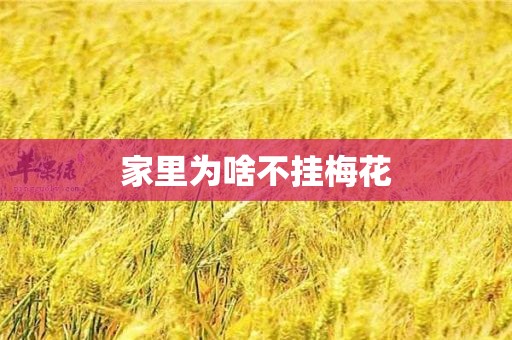 家里为啥不挂梅花